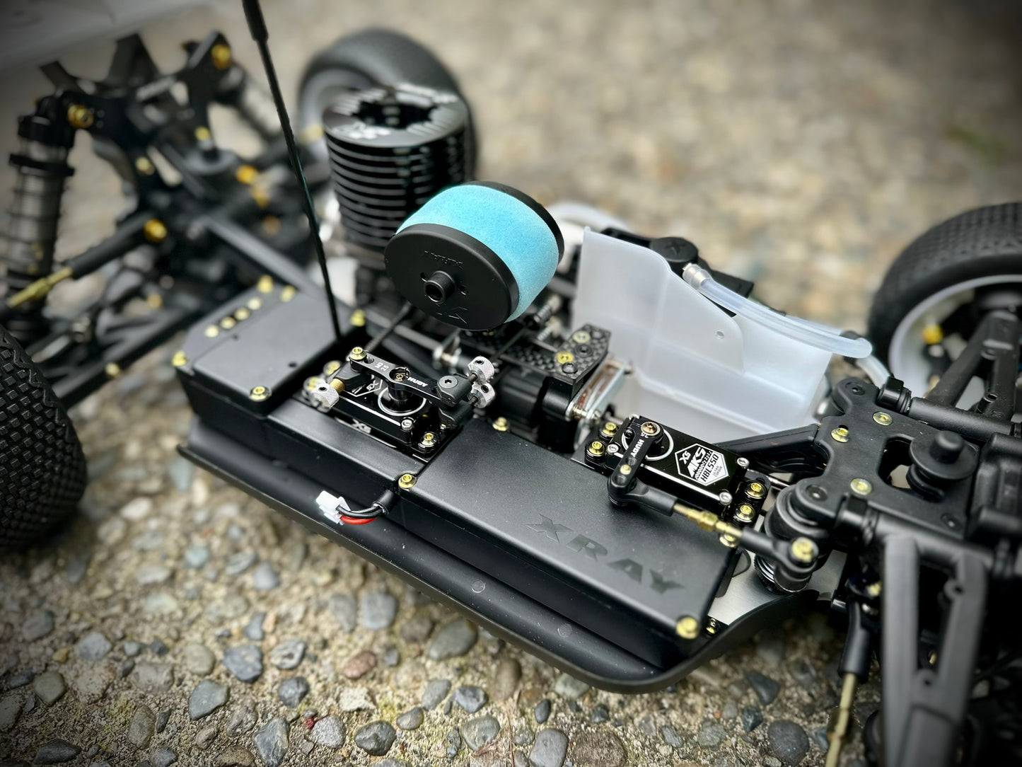 PRO Build Service - 1/8 Scale Nitro Offroad Buggy